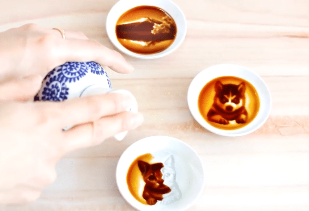 peintures-cachees-sauce-soja-9