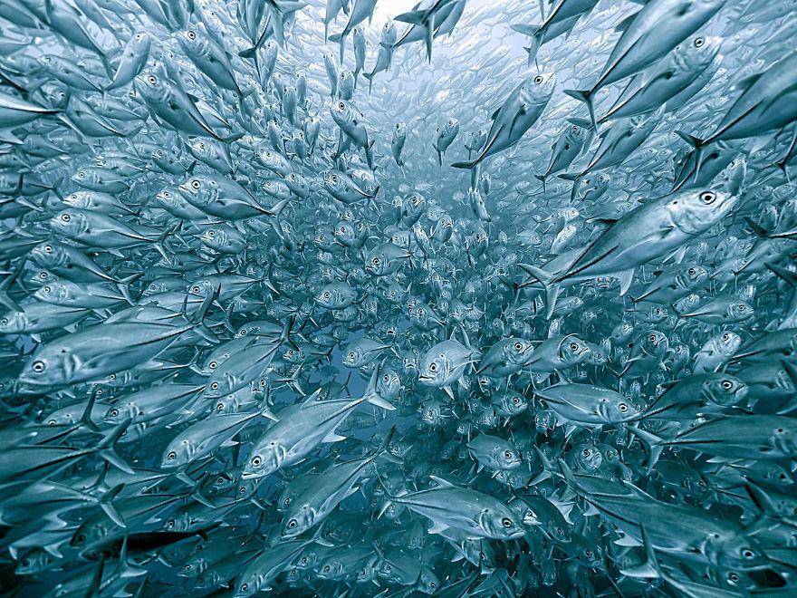 photos-nature-gdt-2020-4