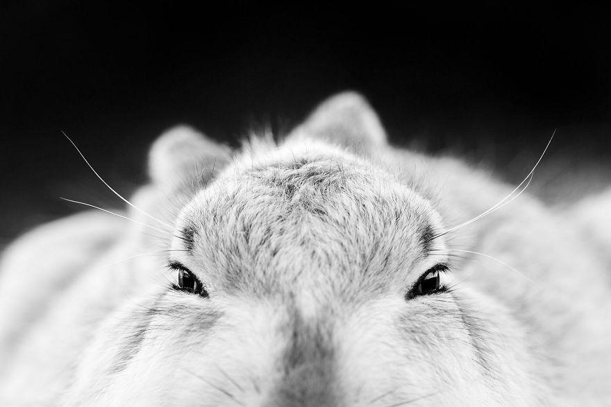 photos-nature-gdt-2020-7