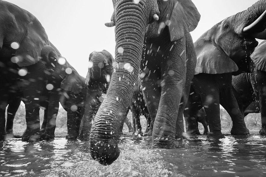 photos-nature-gdt-2020-91