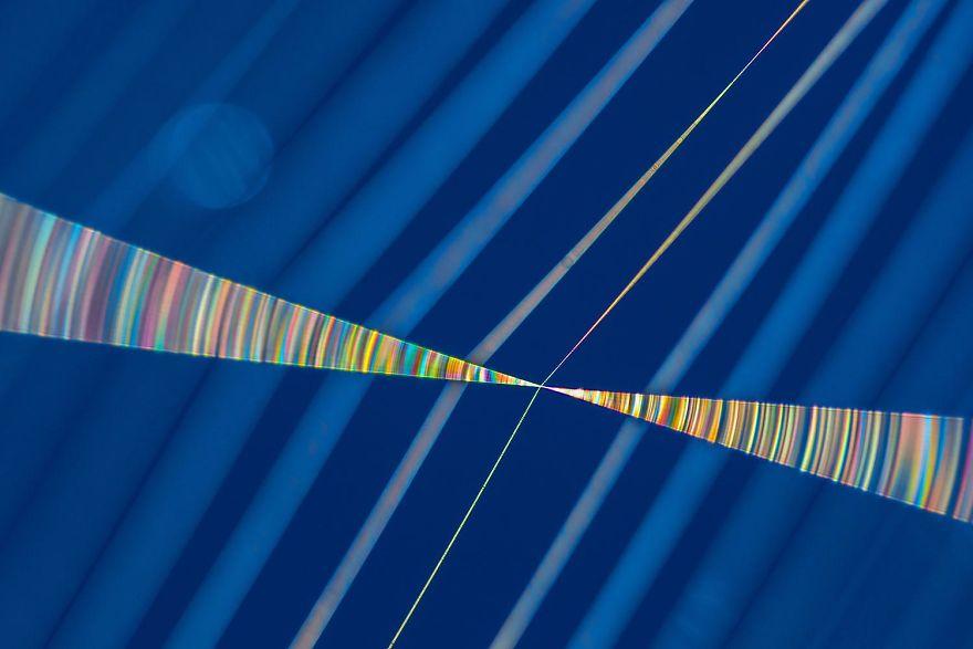 photos-nature-gdt-2020-994