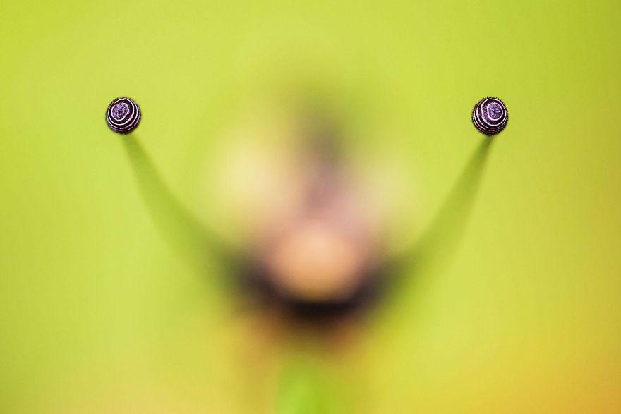 photos-nature-gdt-2020-995