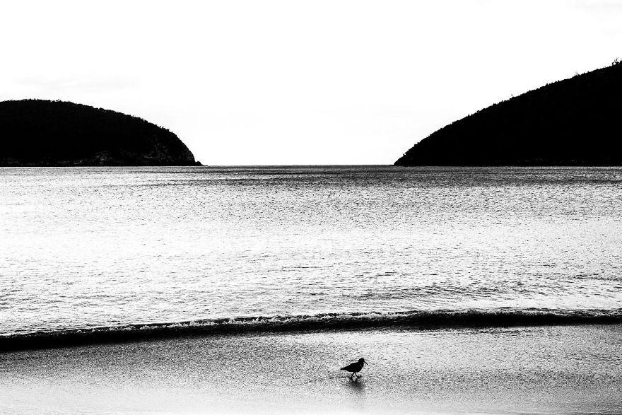 photos-nature-gdt-2020-999