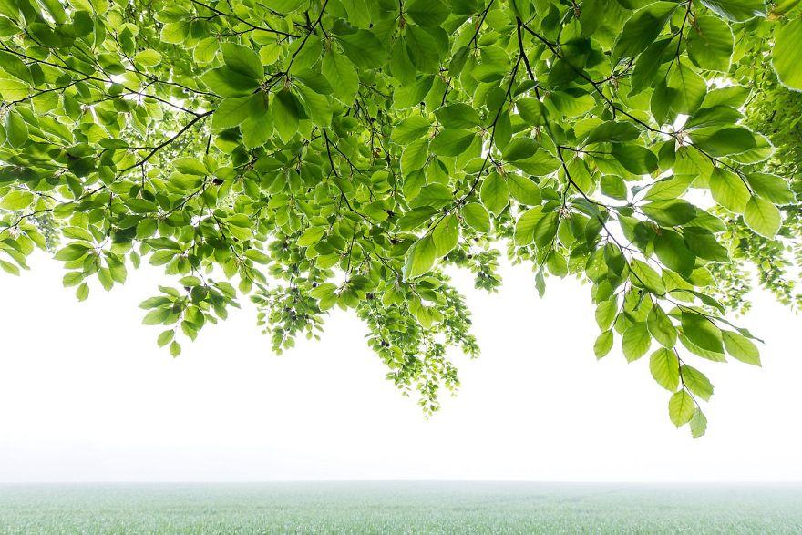 photos-nature-gdt-2020-9993