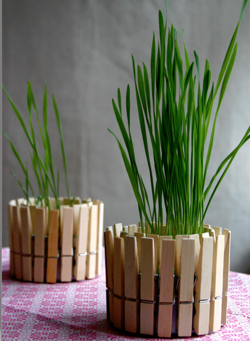 pince-à-linge-boite-thon-4