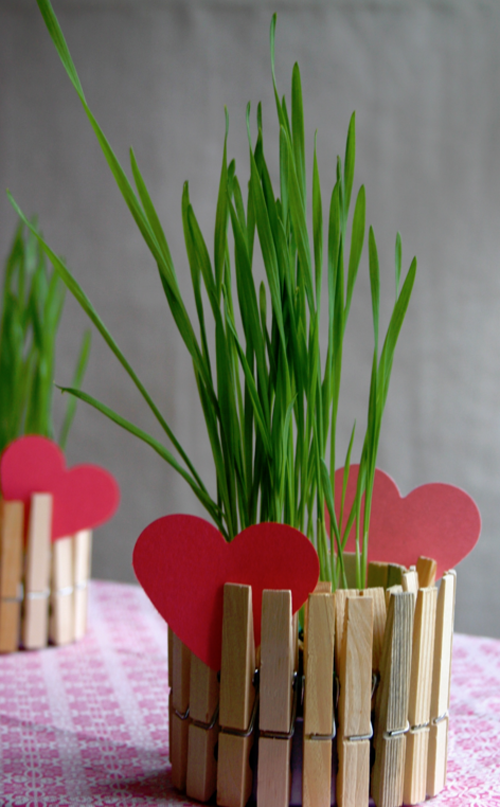 pince-à-linge-boite-thon-5