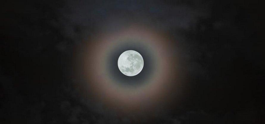 pluie-etoiles-filantes-eta-aquarides-4