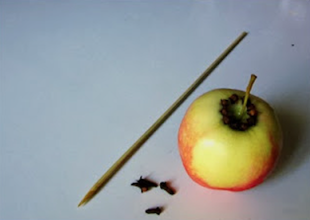 pomme des clous de girofle