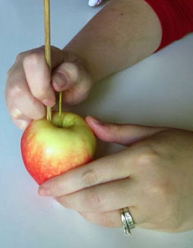 pomme des clous de girofle 1