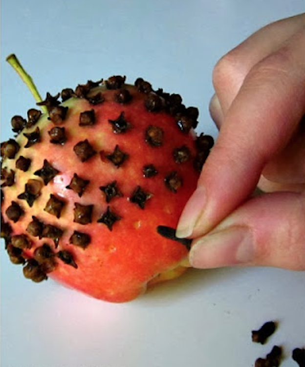 pomme des clous de girofle 2