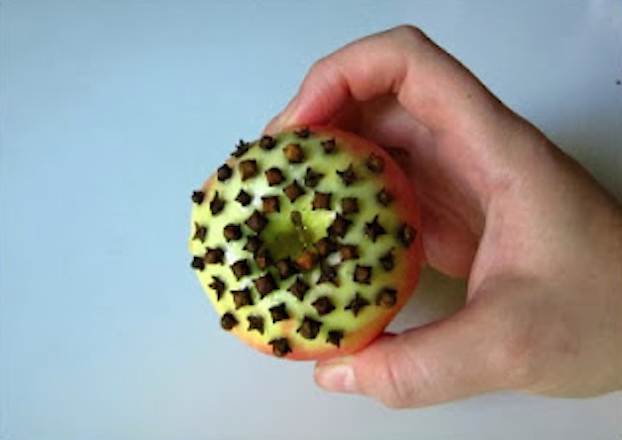 pomme des clous de girofle 3