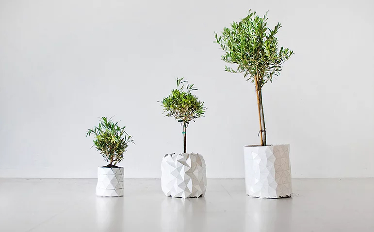 pot-adapte-croissance-plante-2