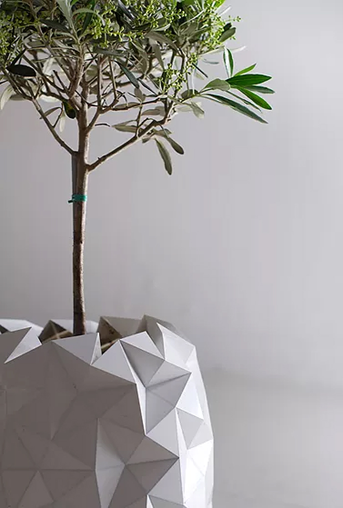 pot-adapte-croissance-plante-3