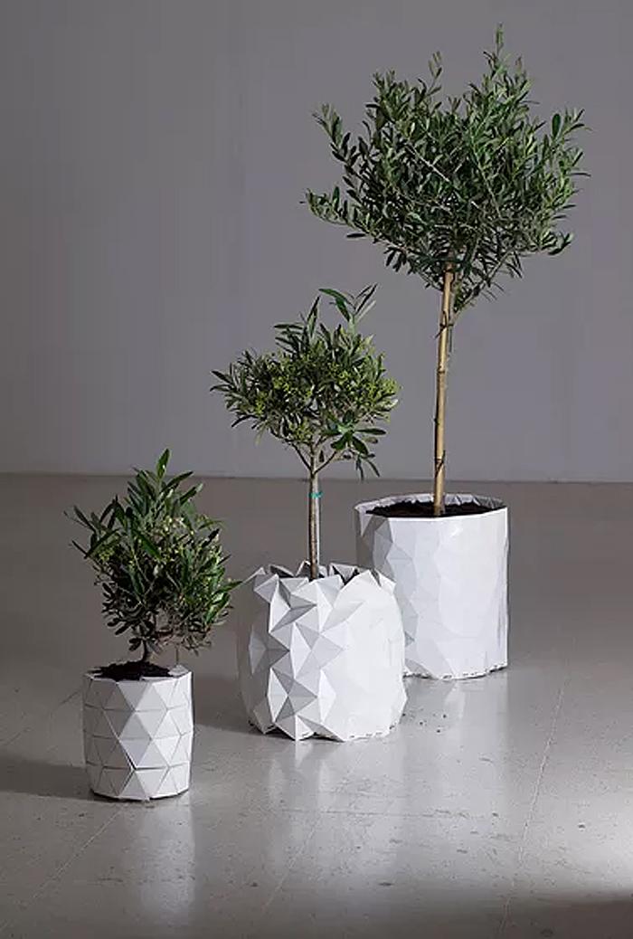 pot-adapte-croissance-plante-4