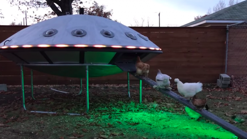 poulailler-OVNI