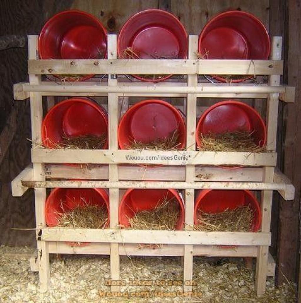 poulailler-a-la-maison-6