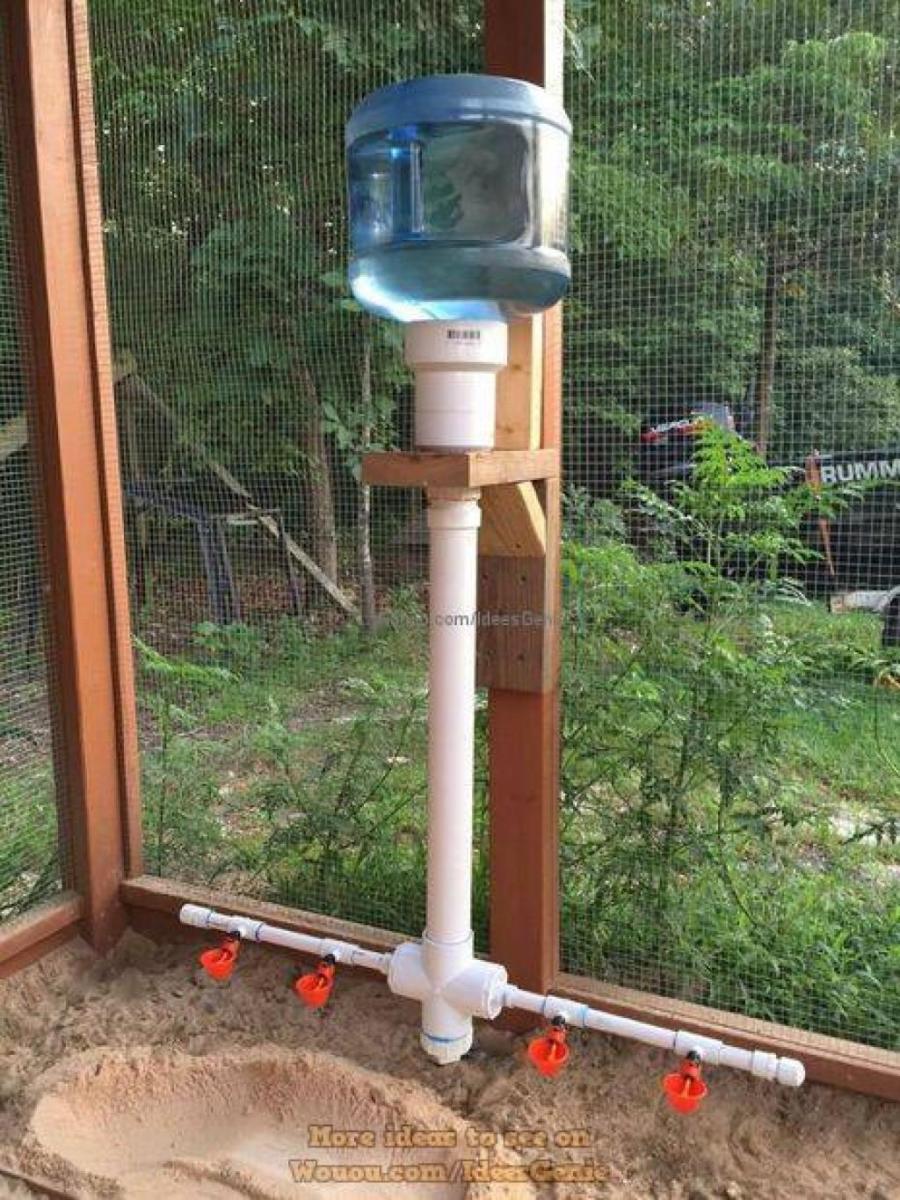 poulailler-a-la-maison-9