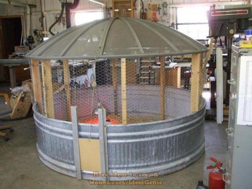 poulailler-a-la-maison-91