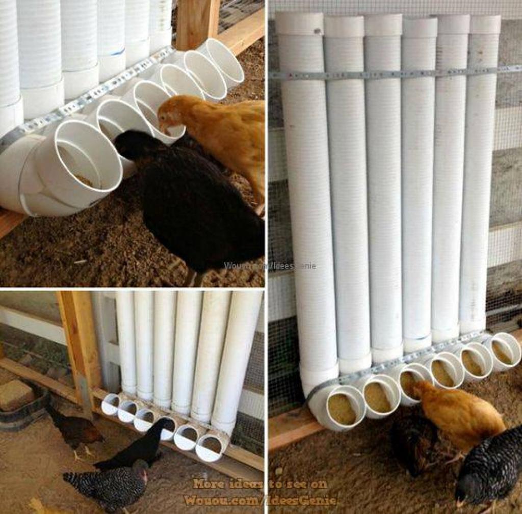 poulailler-a-la-maison-93