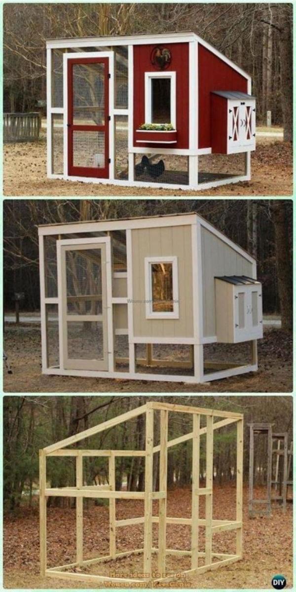 poulailler-a-la-maison-96