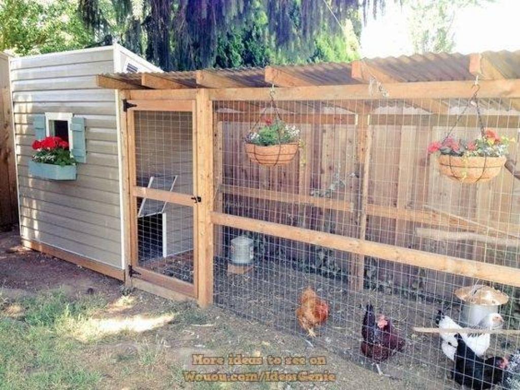 poulailler-a-la-maison-98