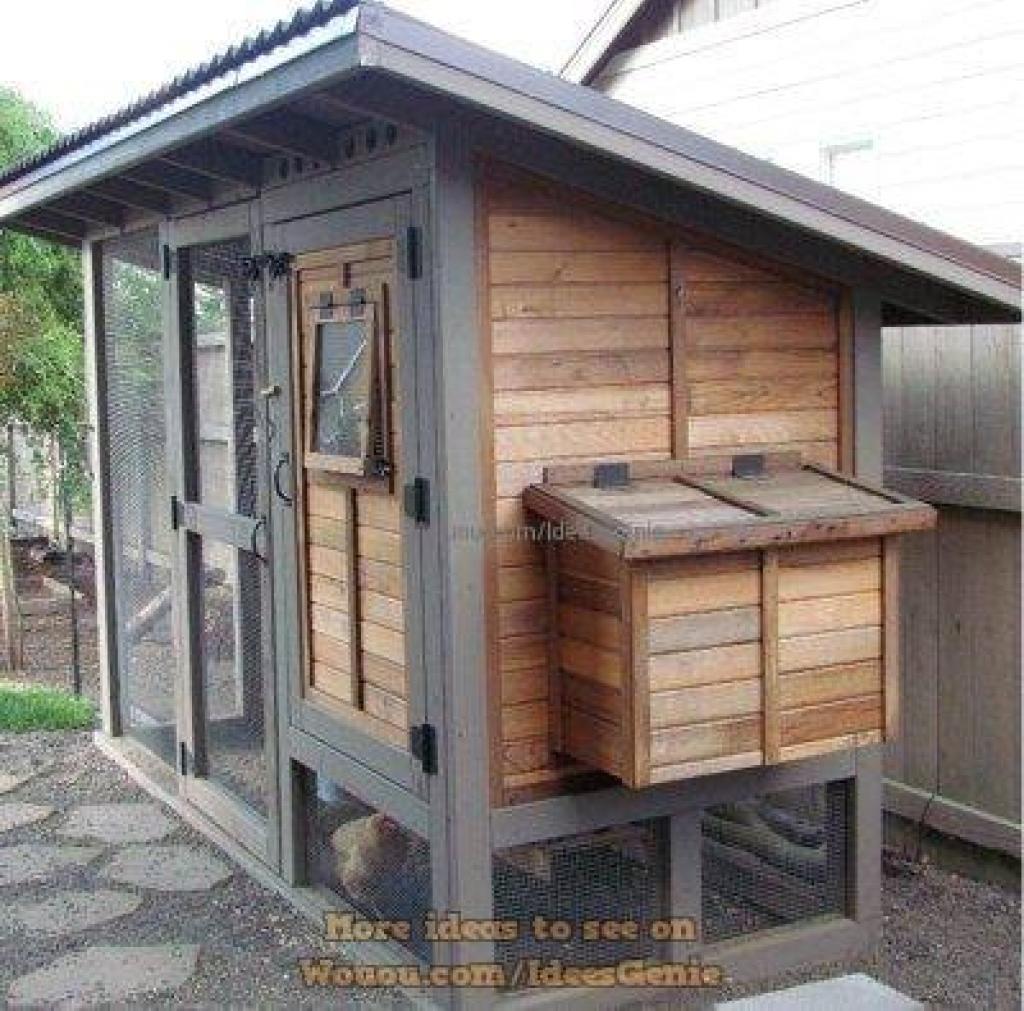 poulailler-a-la-maison-99