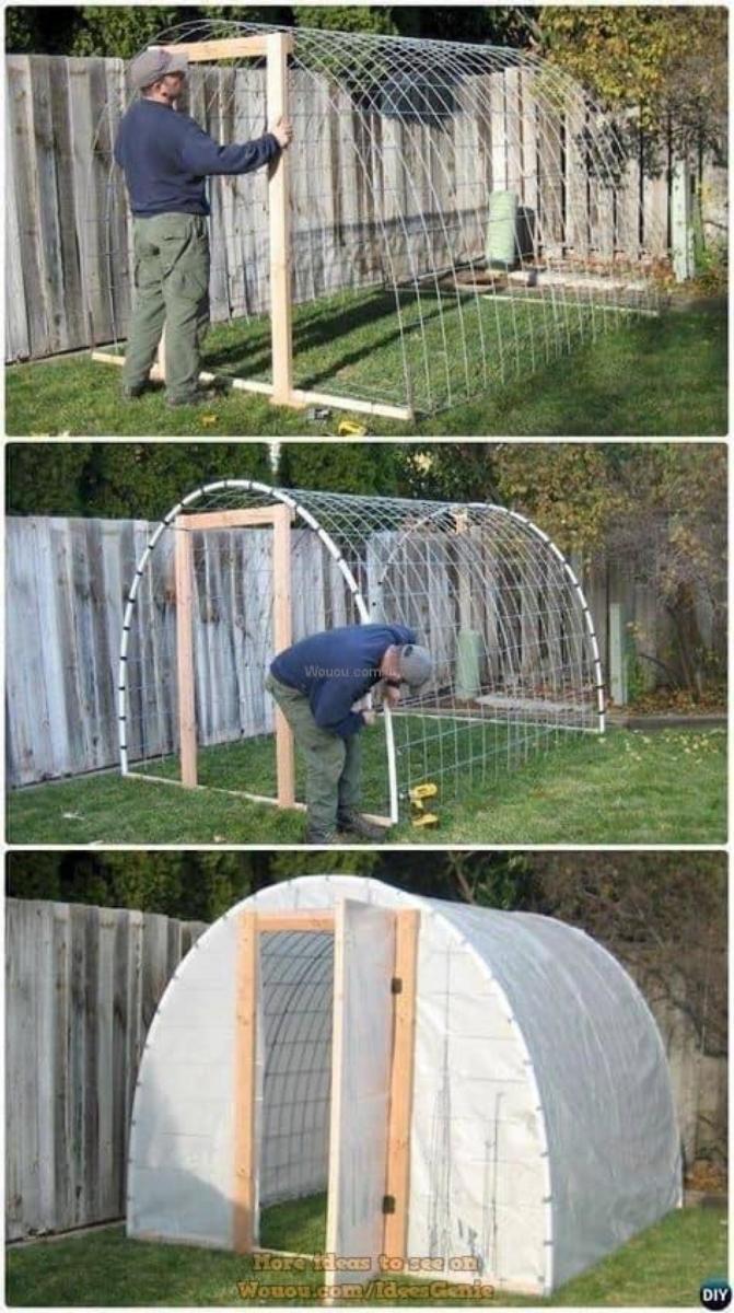 poulailler-a-la-maison-992