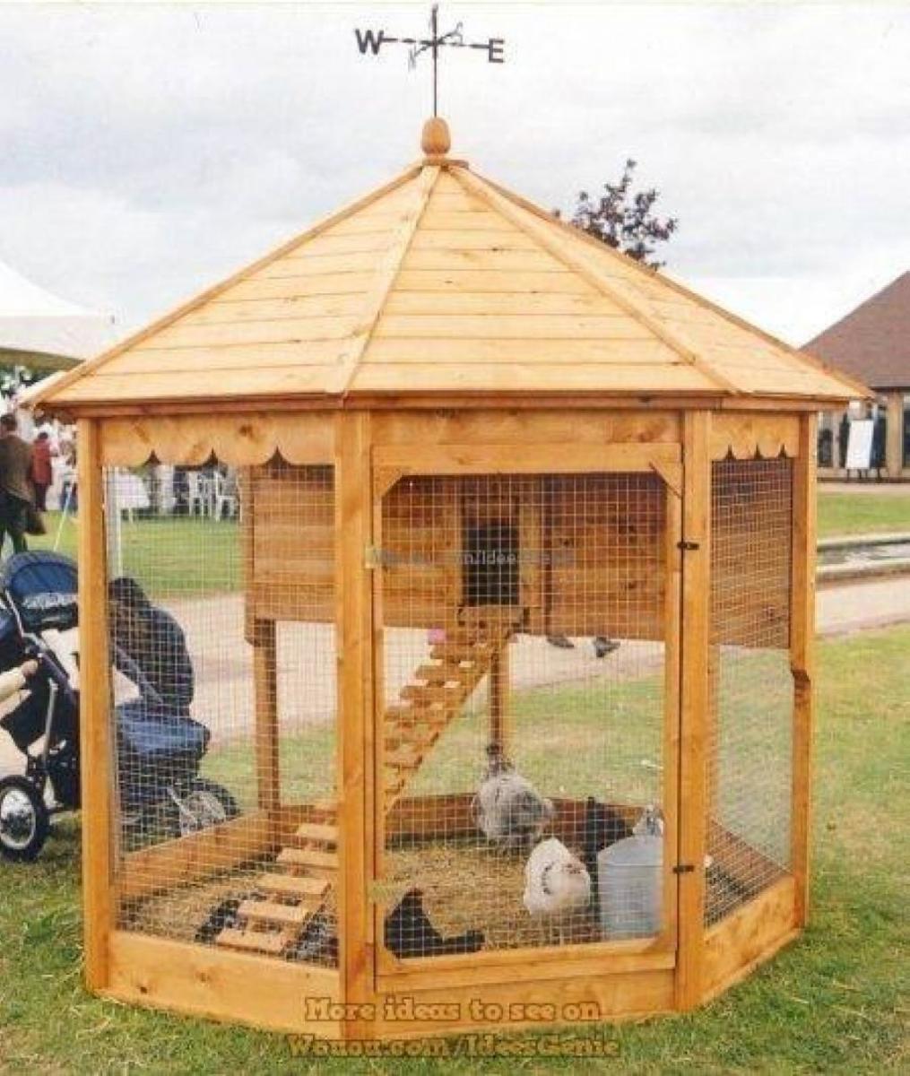 poulailler-a-la-maison-993