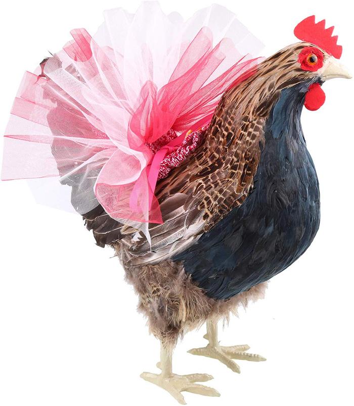 poulets-en-tutu-2