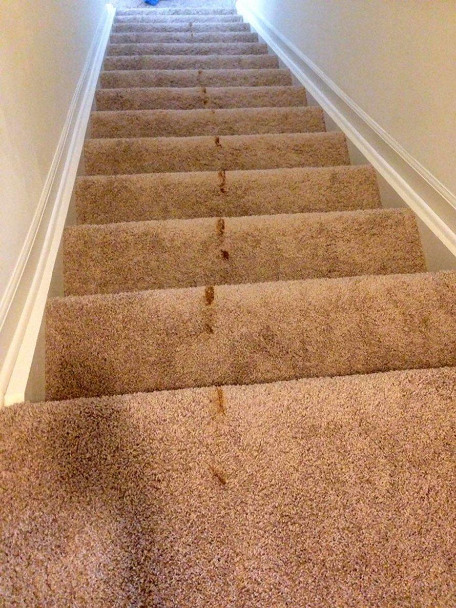 problemes-droles-confinement-parents-enfants-95