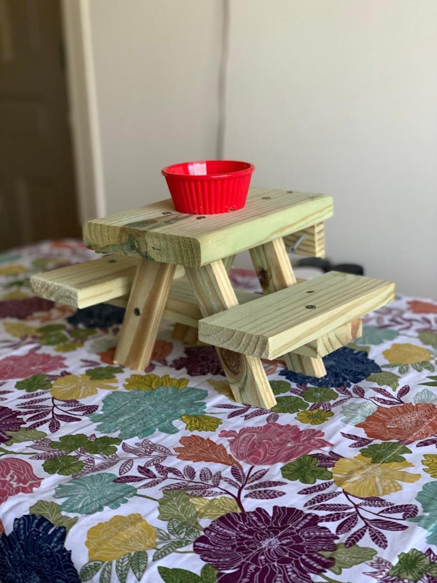 rick-kalinowski-table-pique-nique-ecureuils-1