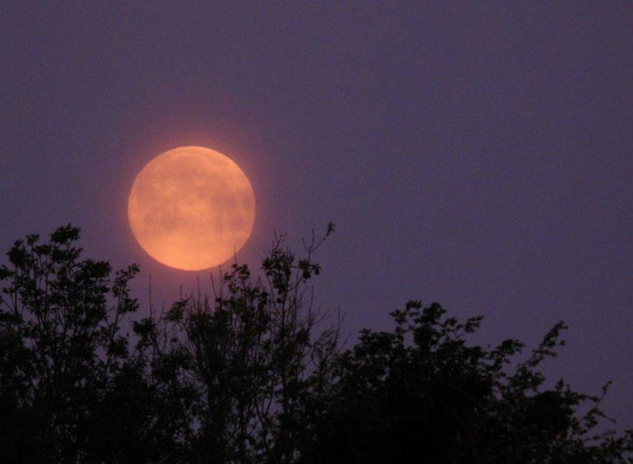 super-lune-des-fleurs-mai-2020-97