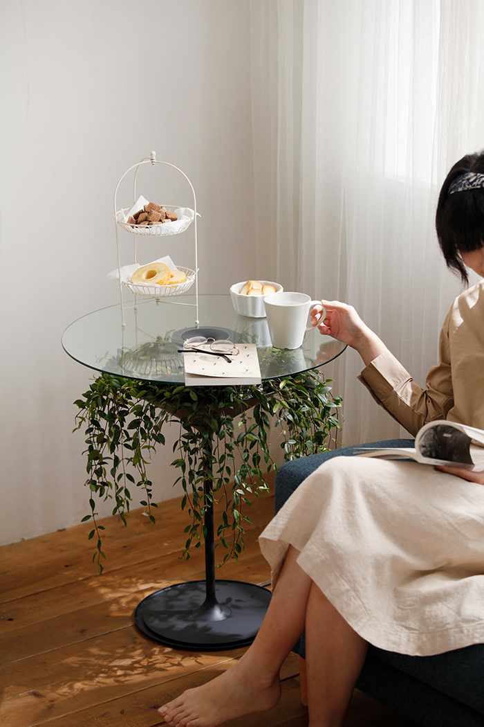 table-plante-suspendue-2