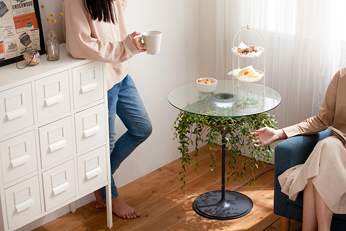 table-plante-suspendue-3