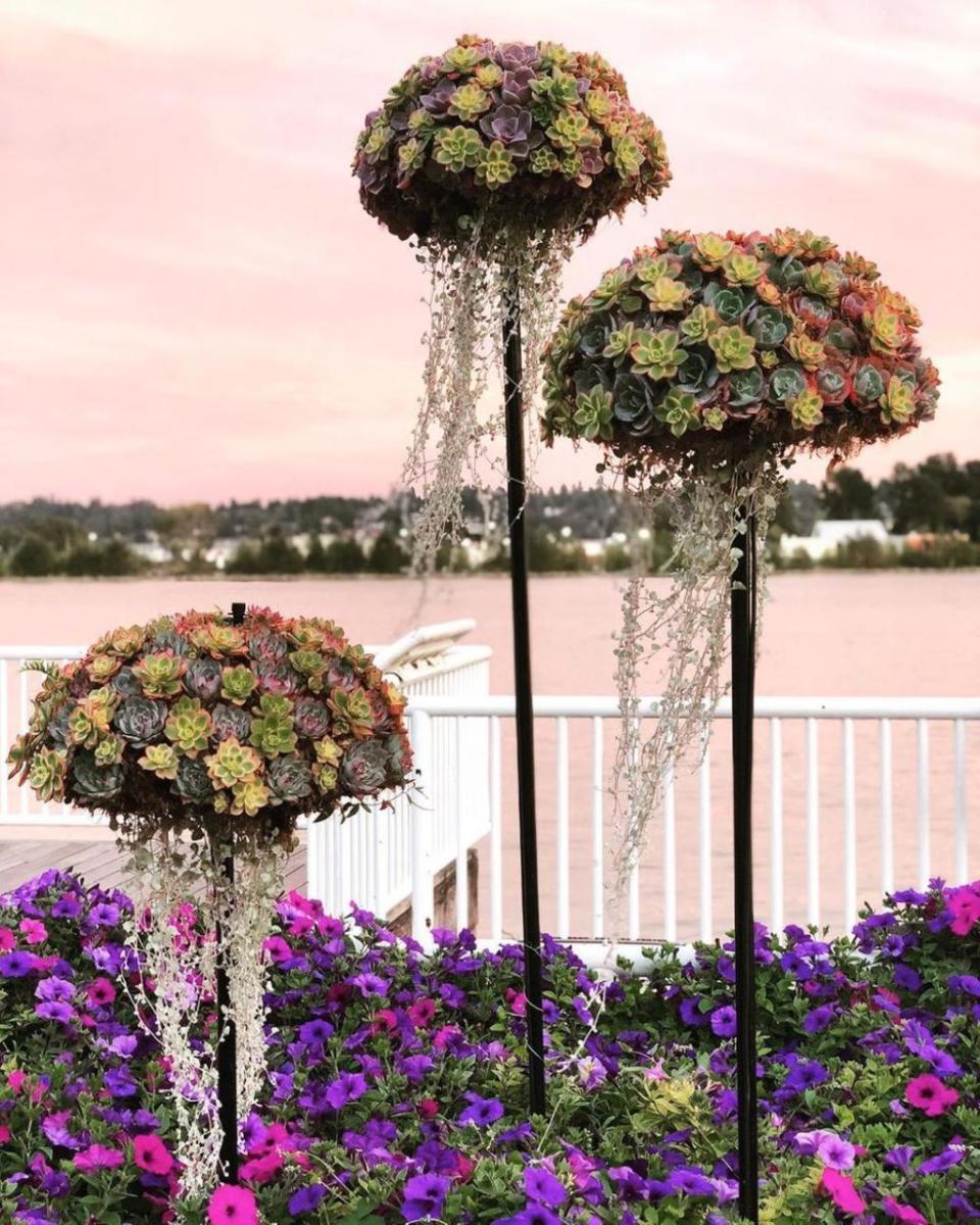 tendance-jardinage-été-2020-1