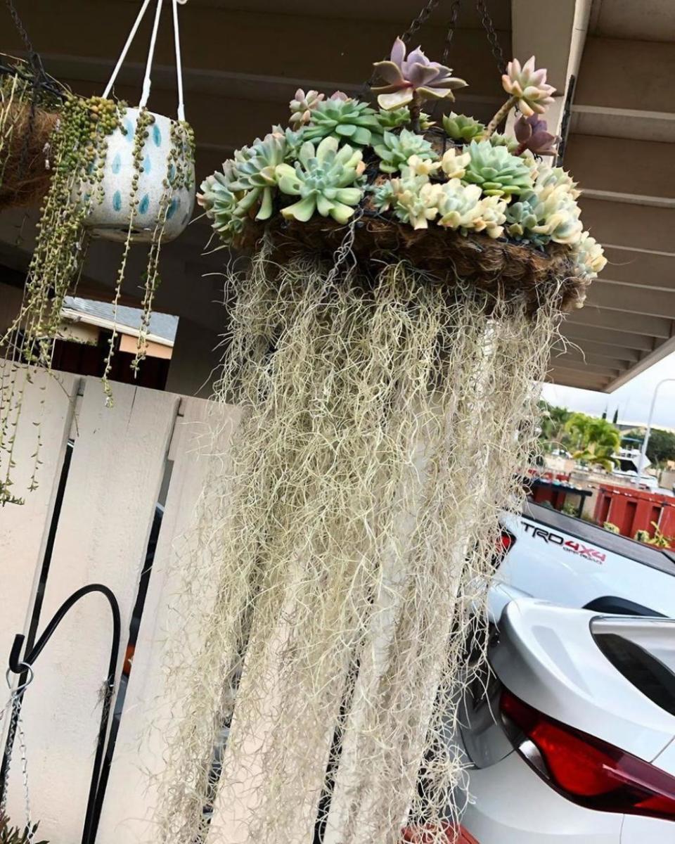 tendance-jardinage-été-2020-2