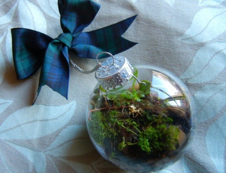 terrarium-11