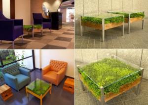 Look at These Tables with Plants! 4