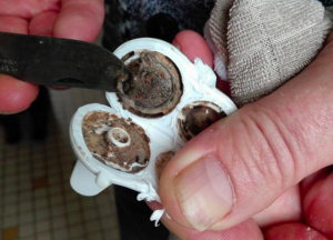 gobelets-bébés-moissure-1