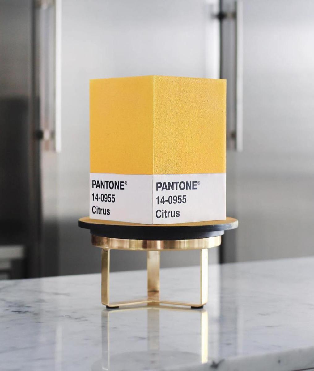 tortik-annushka-gateaux-patissier-6