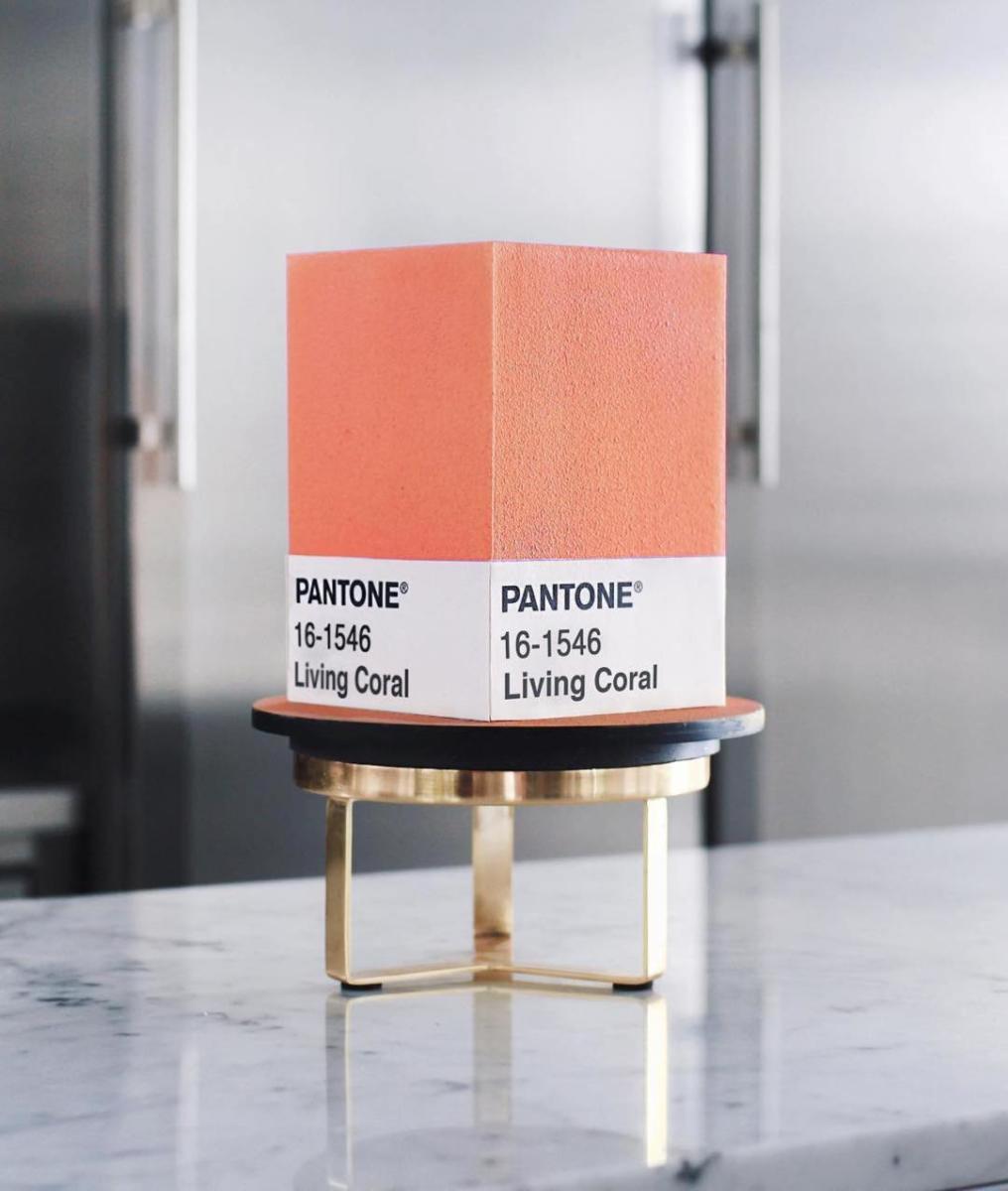 tortik-annushka-gateaux-patissier-9