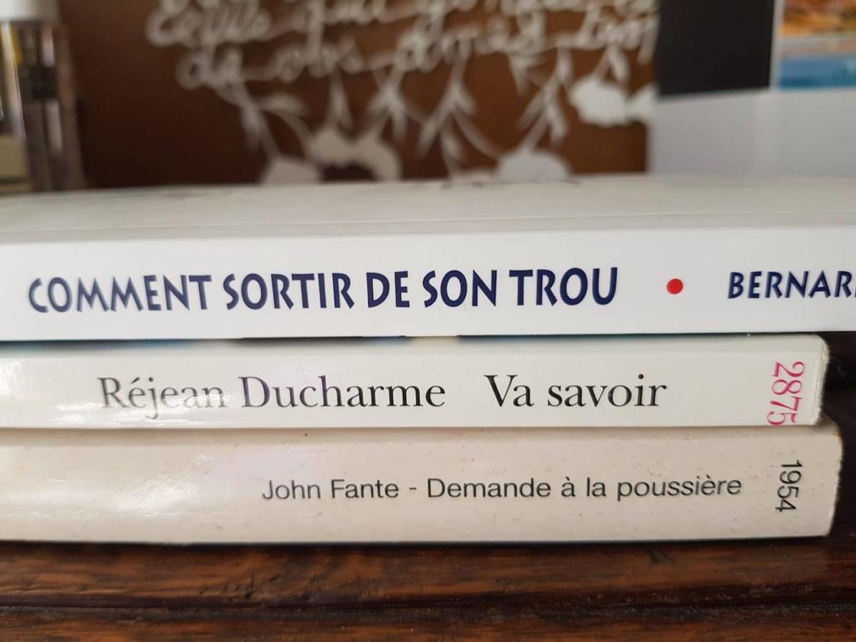 tranches-poetiques-livres-poemes-9