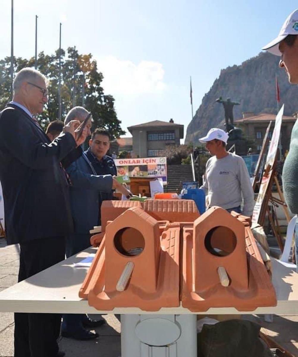 tuiles-nids-oiseaux-7